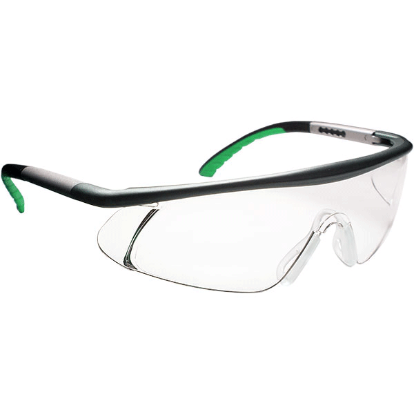Metallic paint safety spectacles - SS-2463D