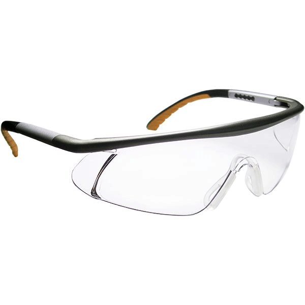 Metallic paint safety spectacles - SS-2463D