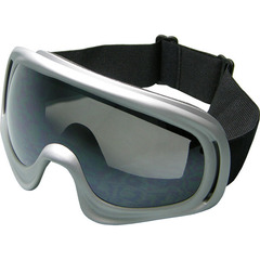 Ski goggle