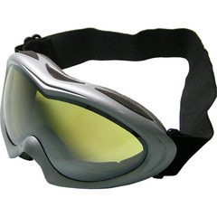 Ski goggle