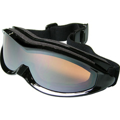 Ski goggle