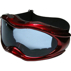 Ski goggle