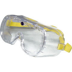 Safety goggle